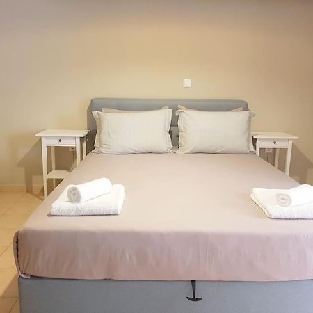 Athens Campus Renovated Studio Apartment @ Ilisia Eksteriør bilde