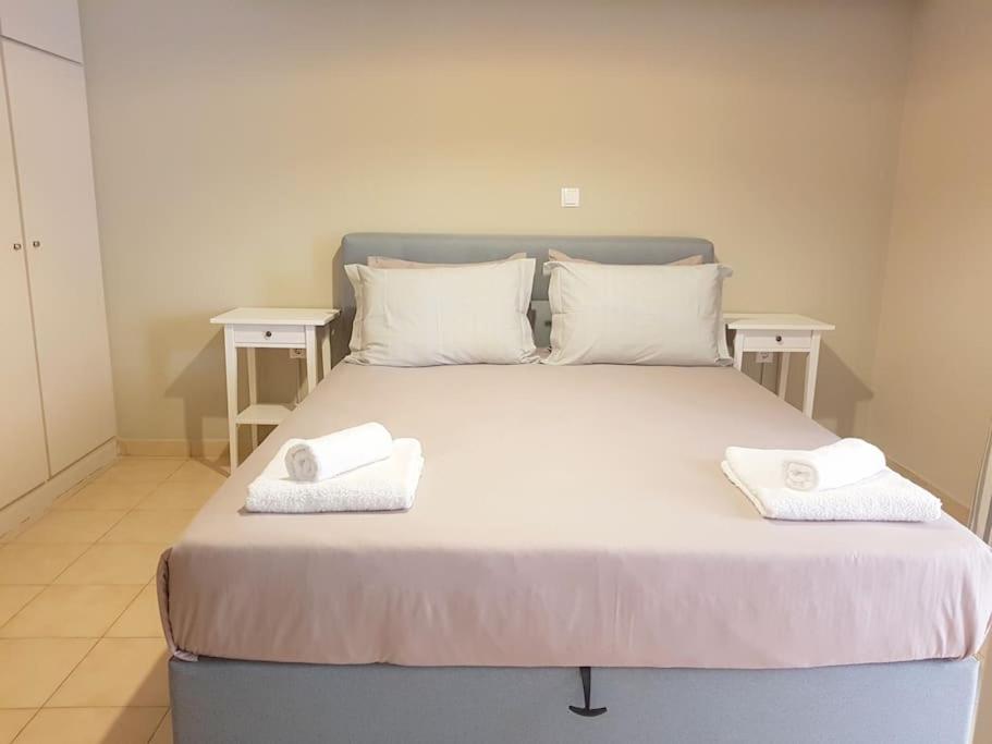 Athens Campus Renovated Studio Apartment @ Ilisia Eksteriør bilde